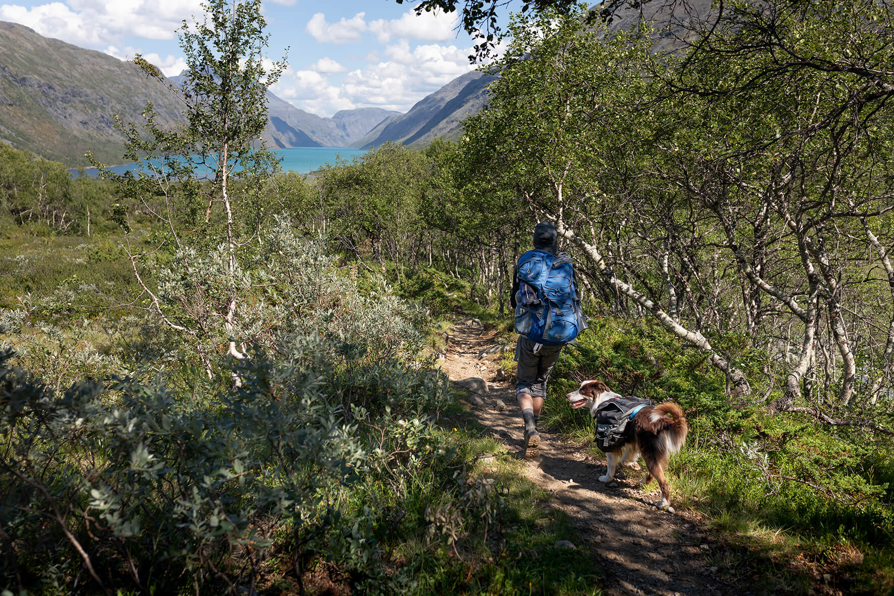 Abenteuerhunde_Fotografie_Norwegen_006
