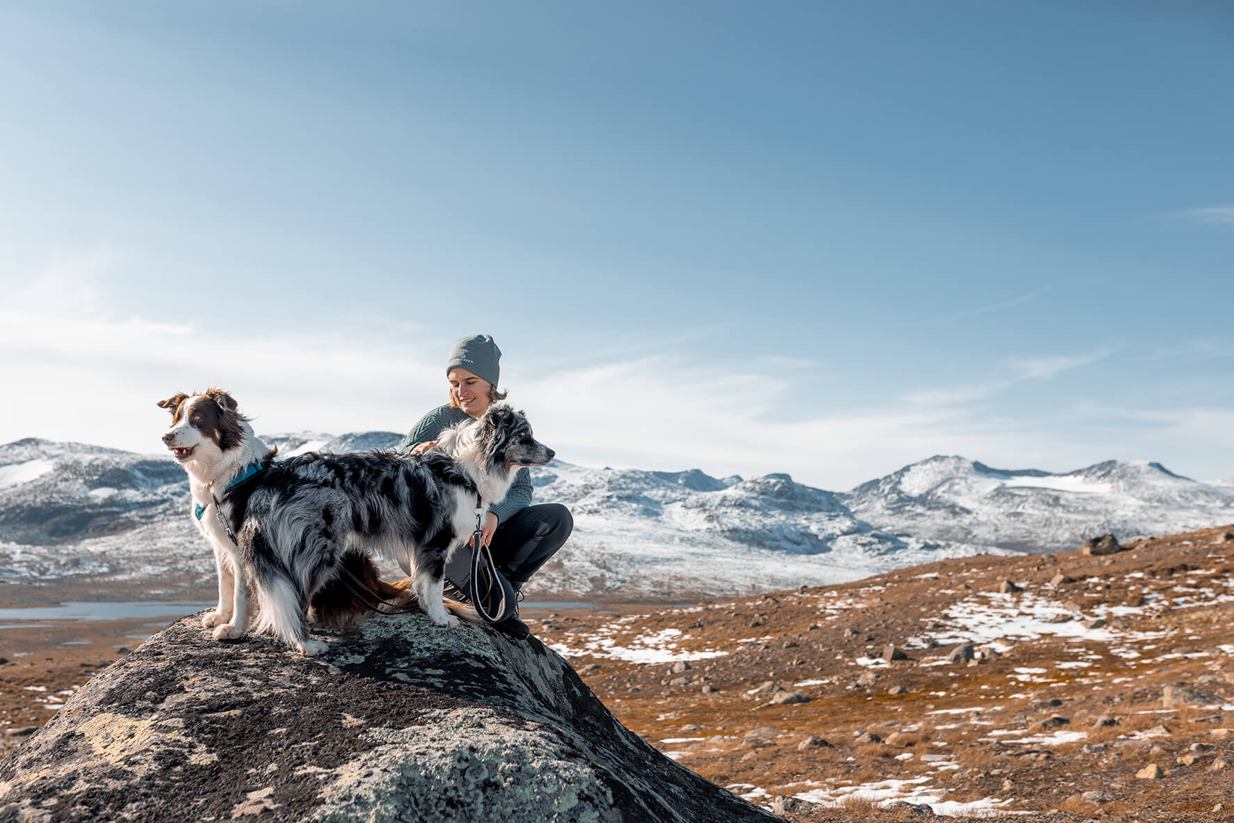 Norwegen_Fotoshooting_Abenteuerhunde_050