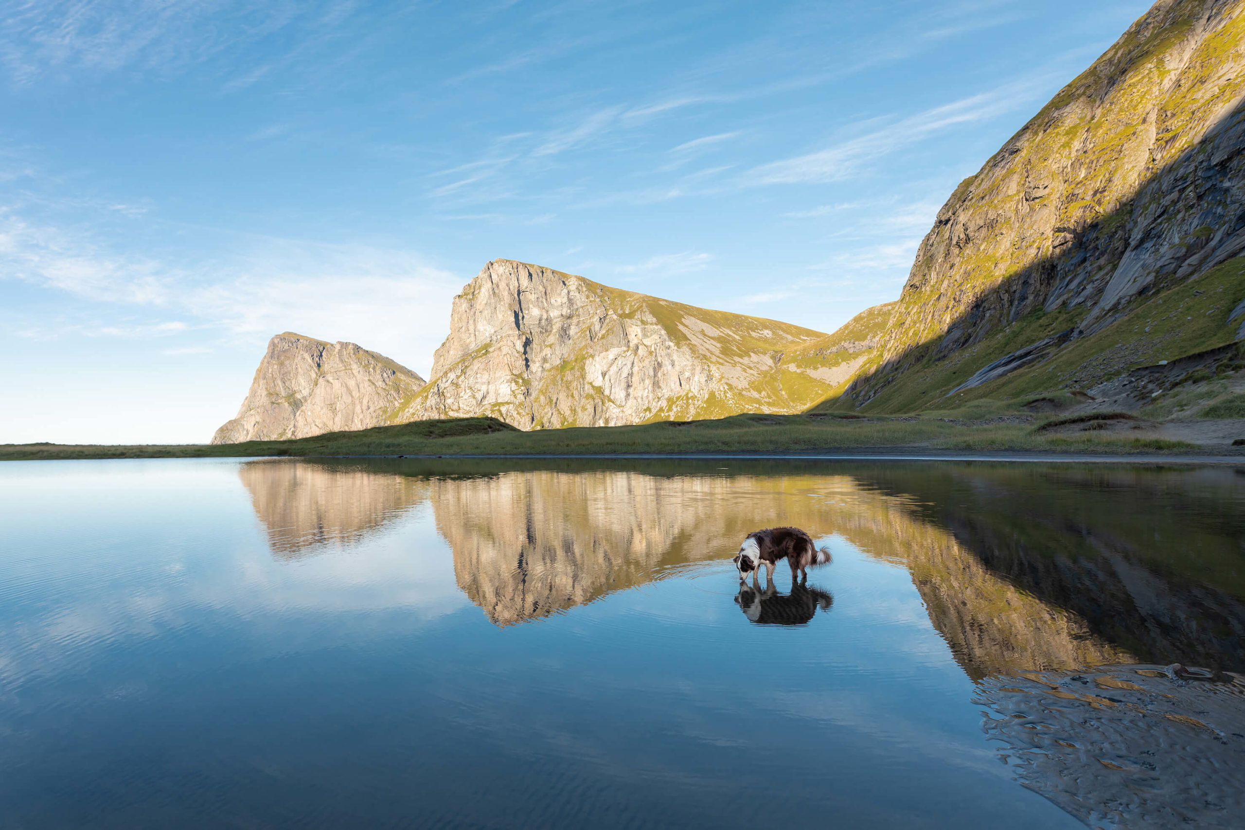 Norwegen_Fotoshooting_Abenteuerhunde_052