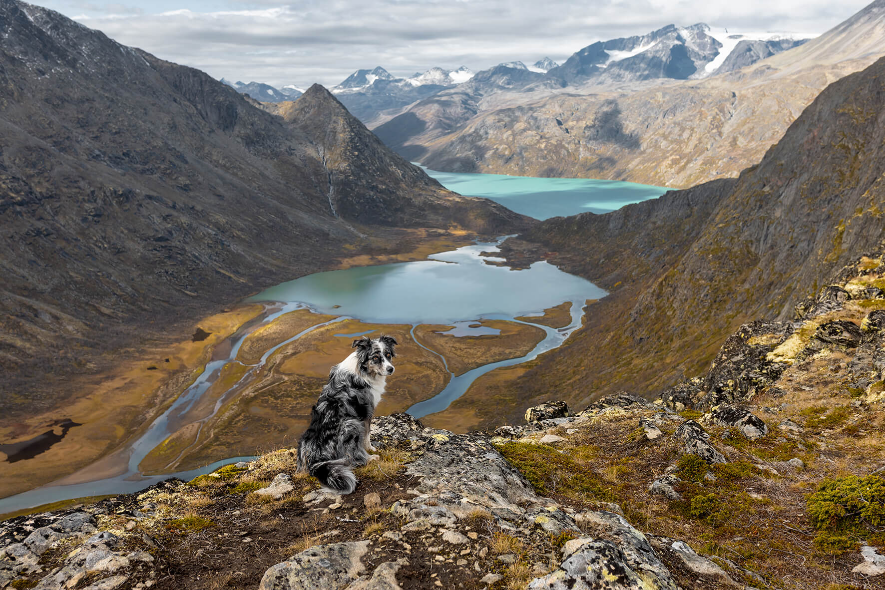Norwegen_Fotoshooting_Abenteuerhunde_097