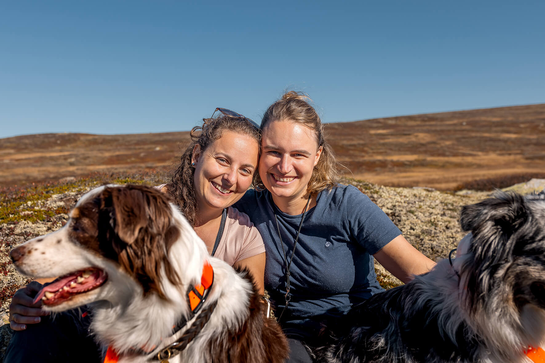 Norwegen_Fotoshooting_Abenteuerhunde_106