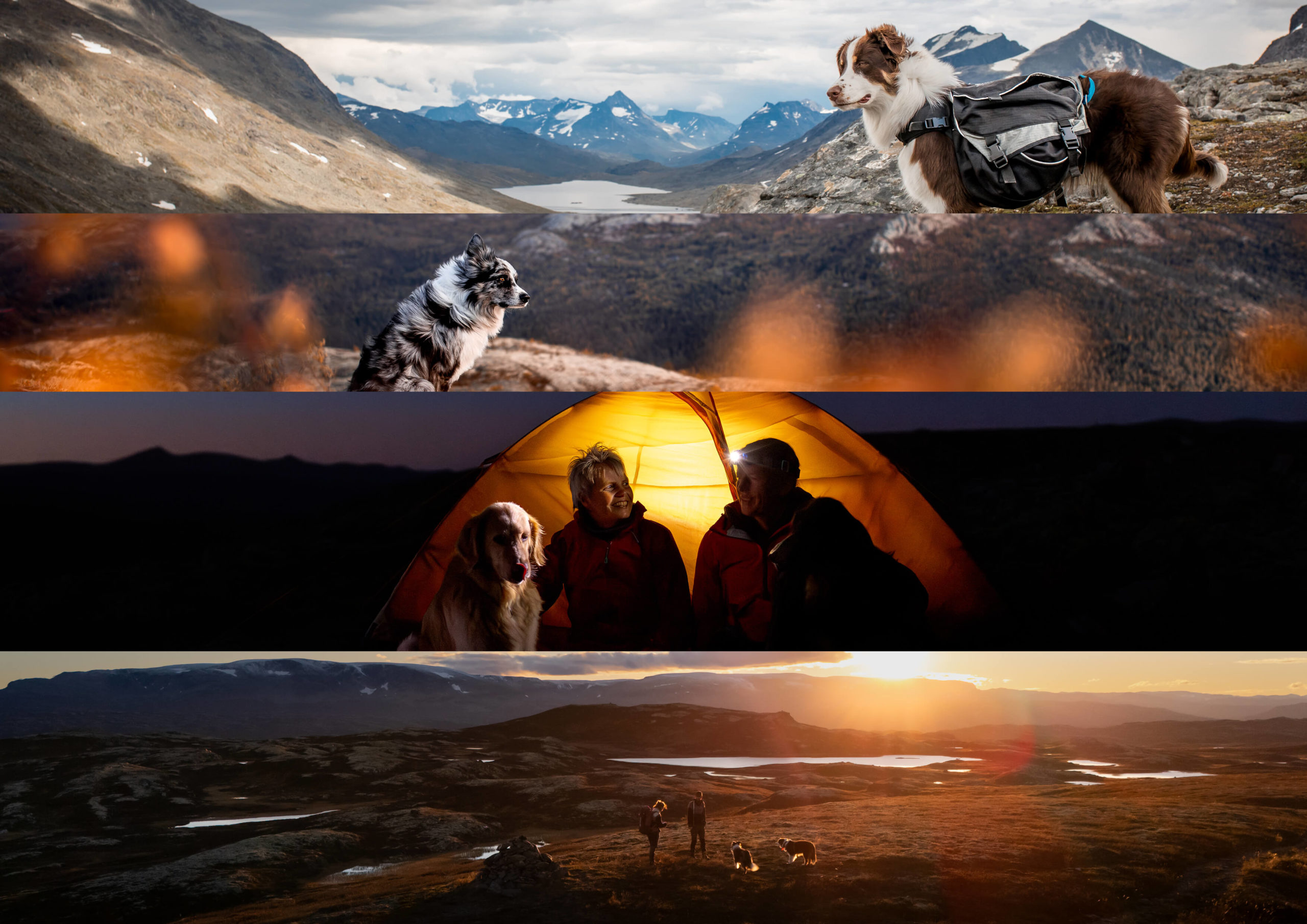 Norwegen_Zelten_mit_Hund