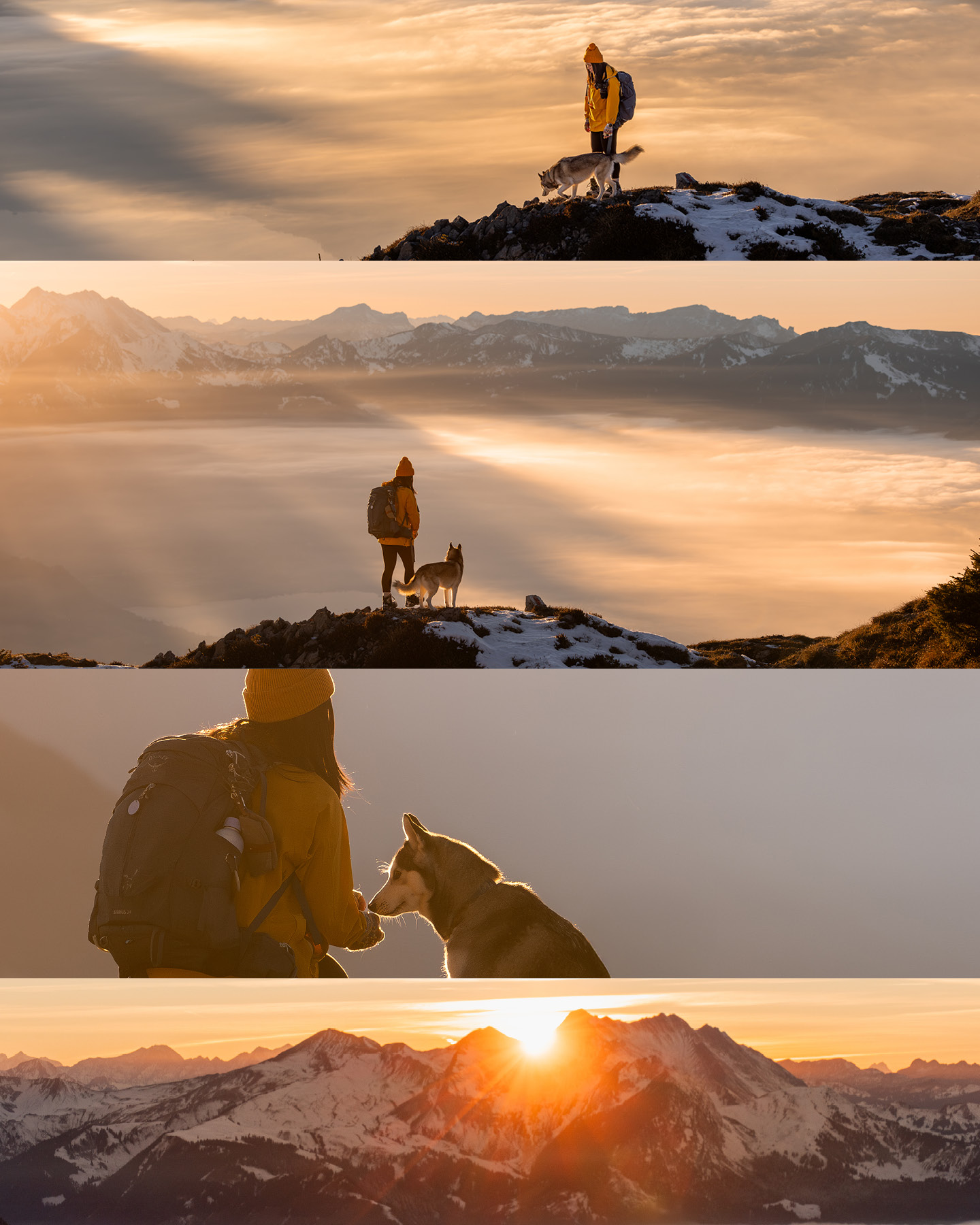 The bond between a pomsky and her human as they are hiking high above the clouds in the Swiss Alps