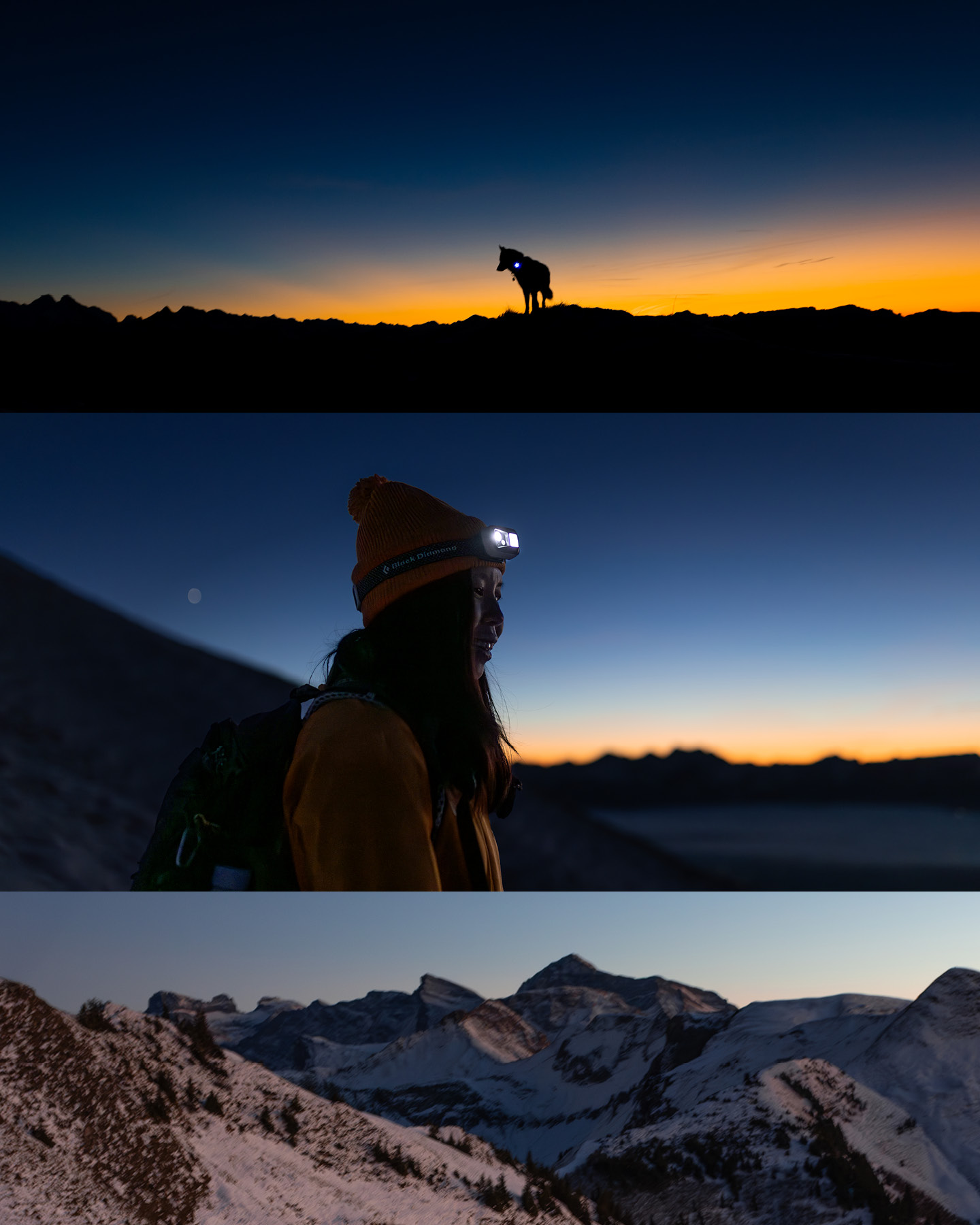 Blue hour in the Swiss Alps. A dog and a girl hike in the dark with headlamps. 