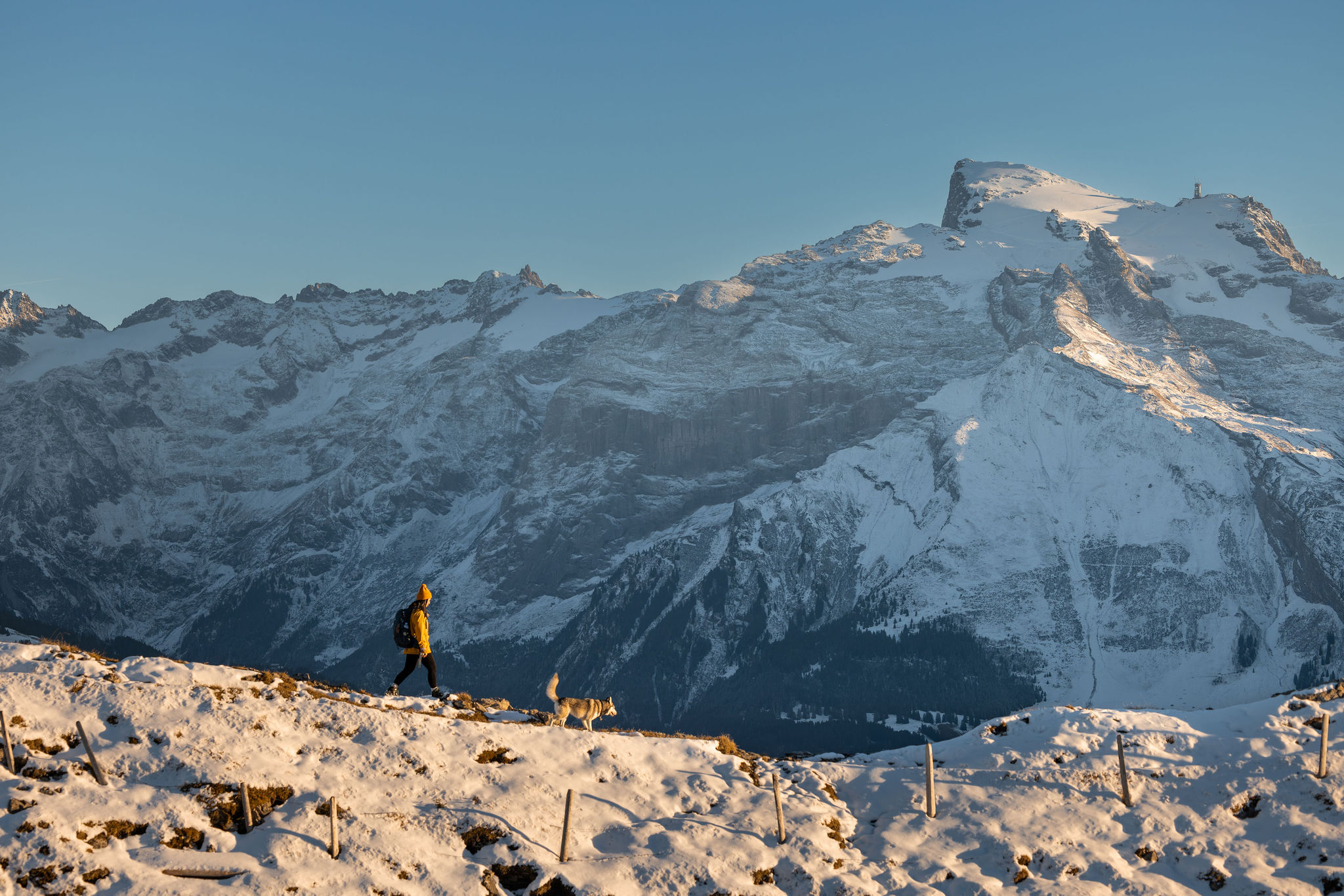 A girl and a dog hiking on a narrow ridge in the Swiss Alps. Mt. Titlis is in the background