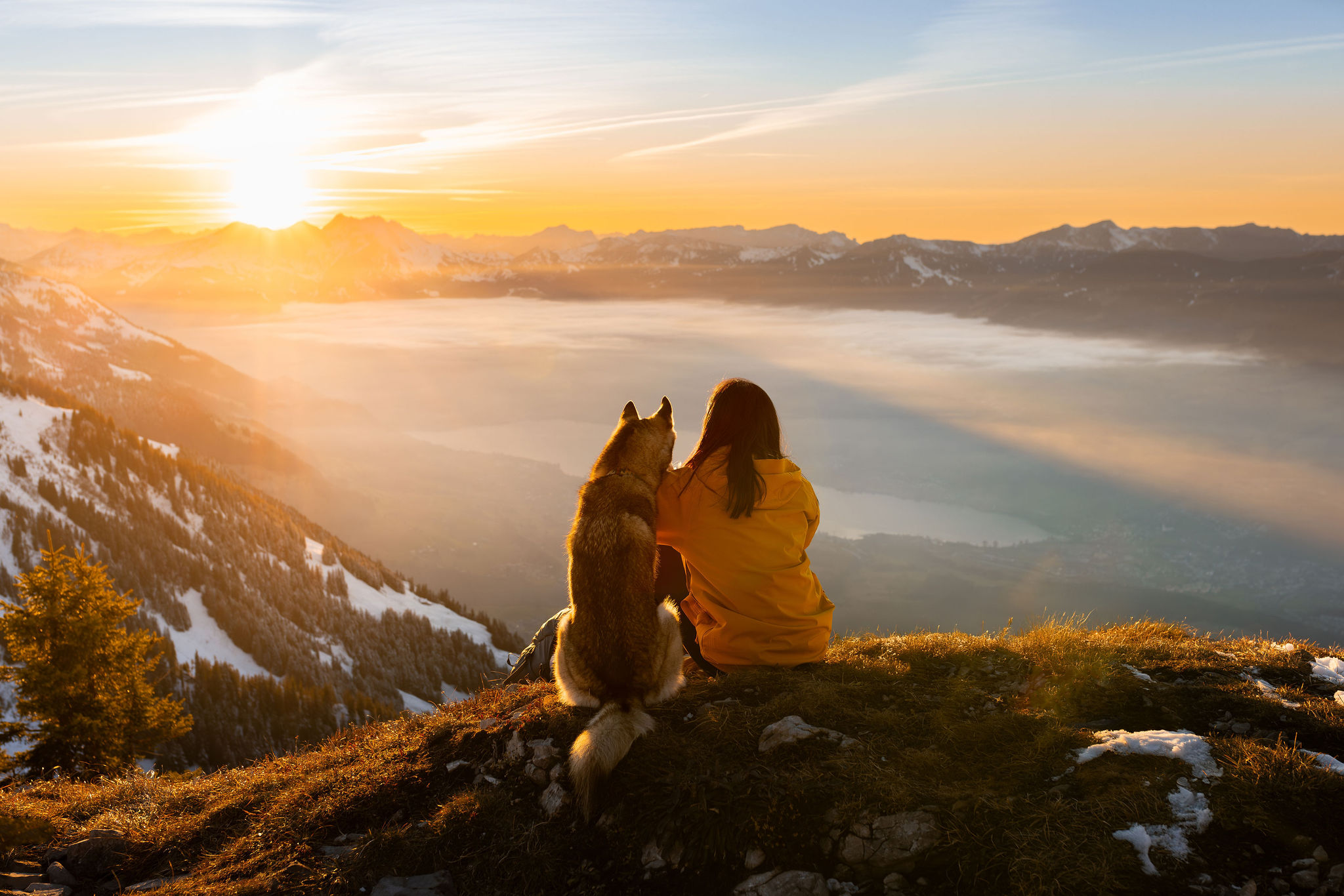 A Pomsky Husky Mix and a girl in front of a stunning sunset over a Swiss valley. 