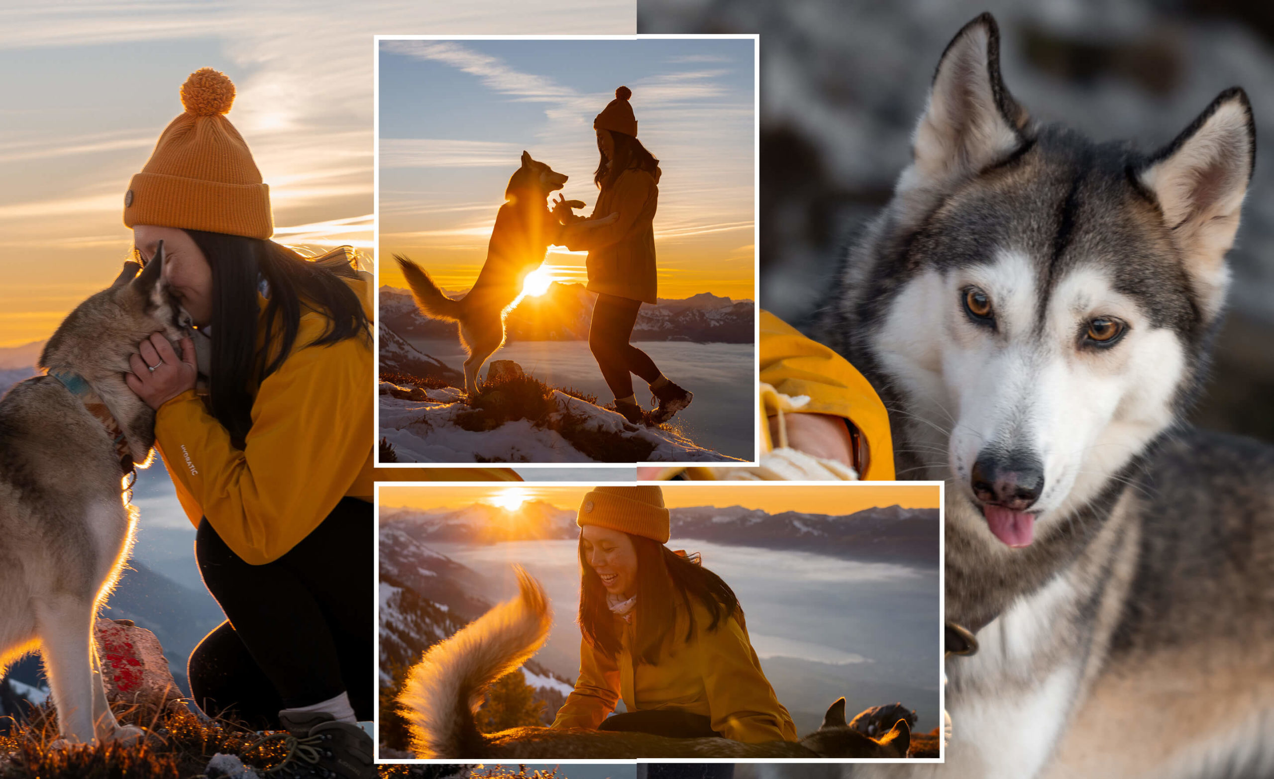 Cuddle and snak time after a long hike for a husky and a girl in the Swiss Alps