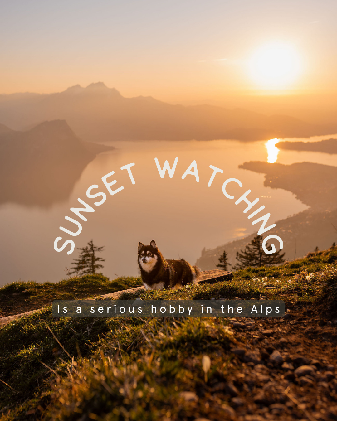 Sunset watching on Mt Rigi. Mt. Pilatus during a dog photography session and lake lucerne are touched by golden light