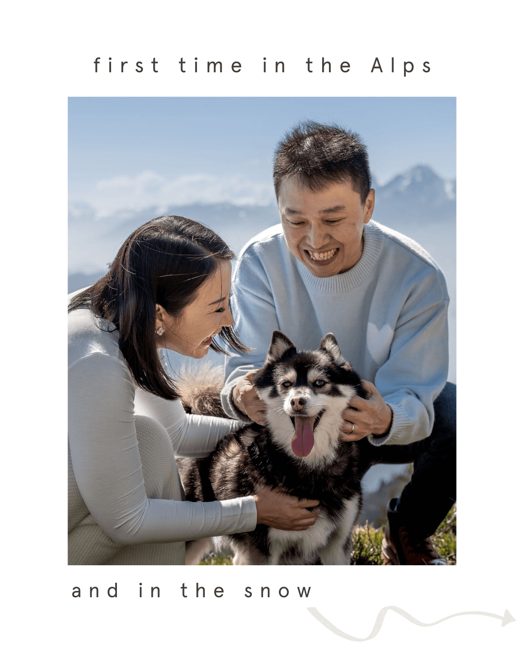 Pomsky and pawrents from Singapore in the Swiss Alps