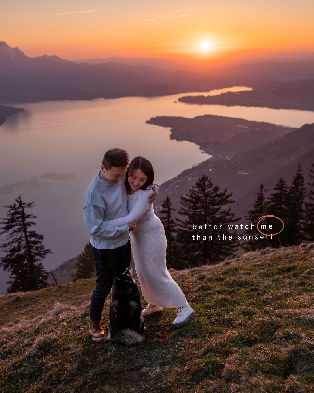 A dog demands attention while being photographed during sunset on Mt. Rigi. mt. Pilatus in the background as well as lake Lucerne are orange and golden