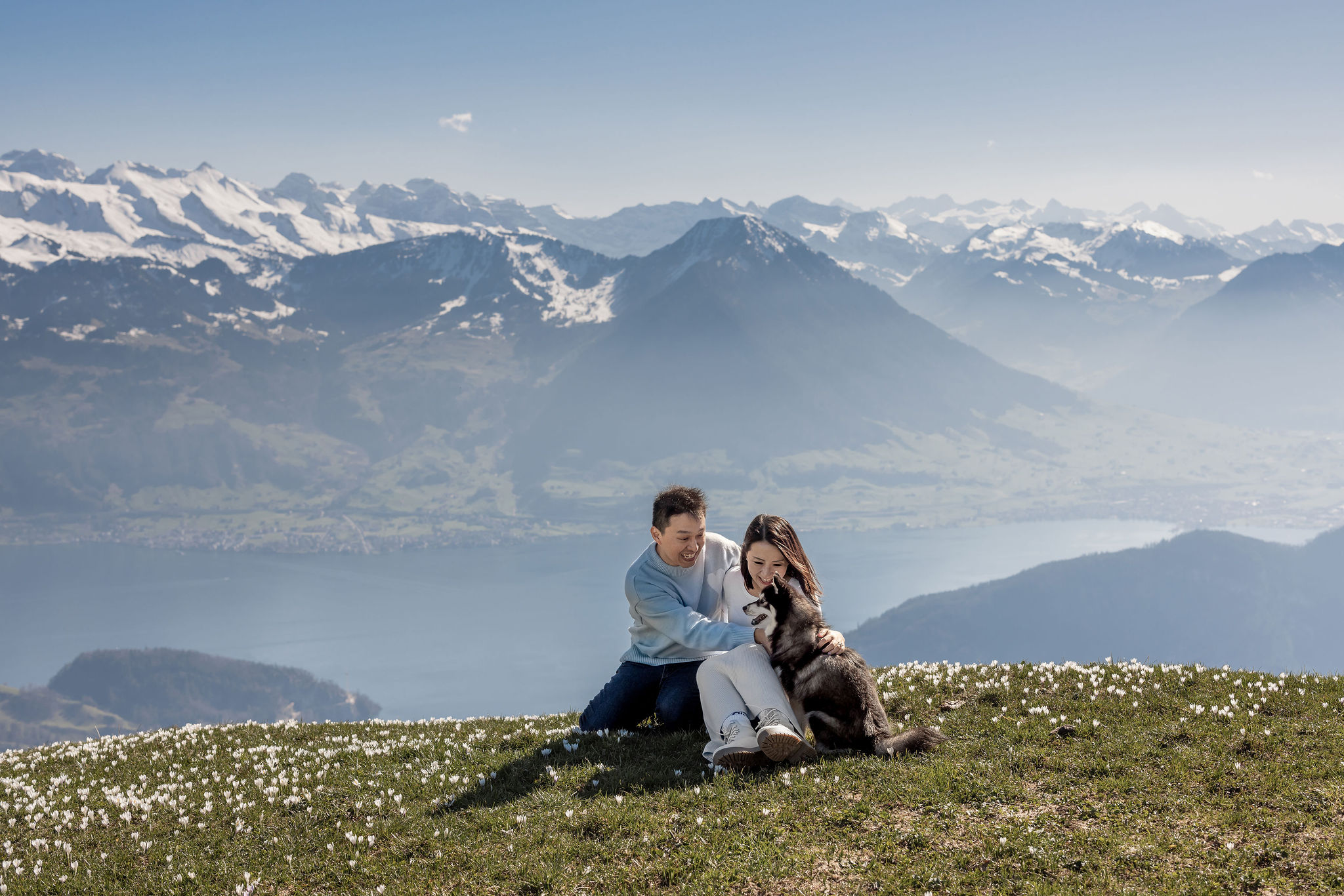 Stunning views during a dog photoshoot above lake Lucerne