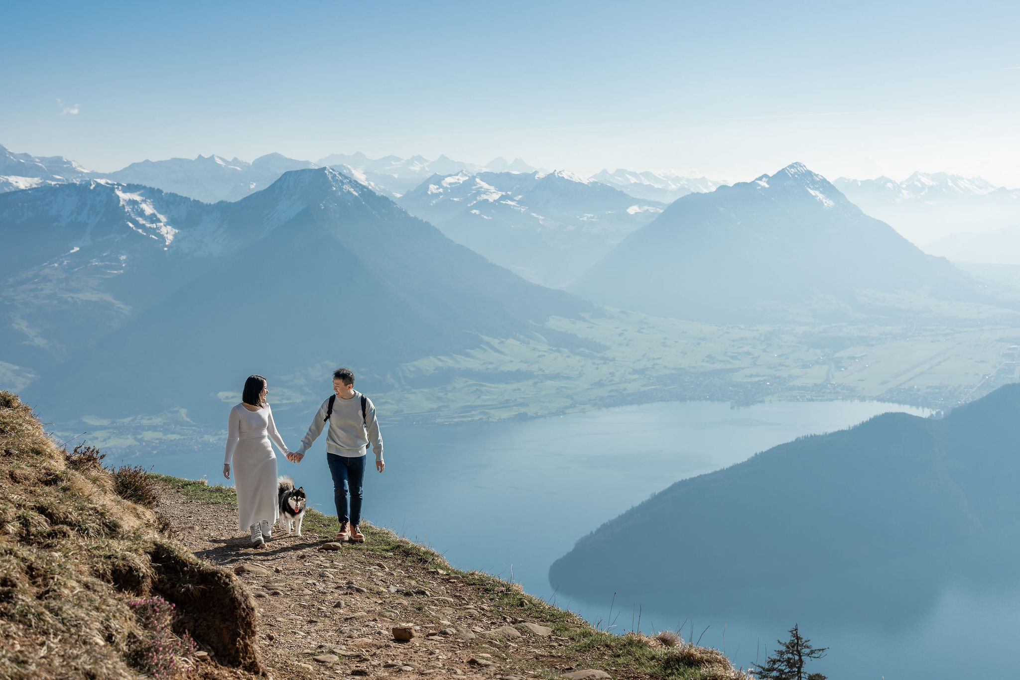 Hiking with a pomsky in the Swiss Alps