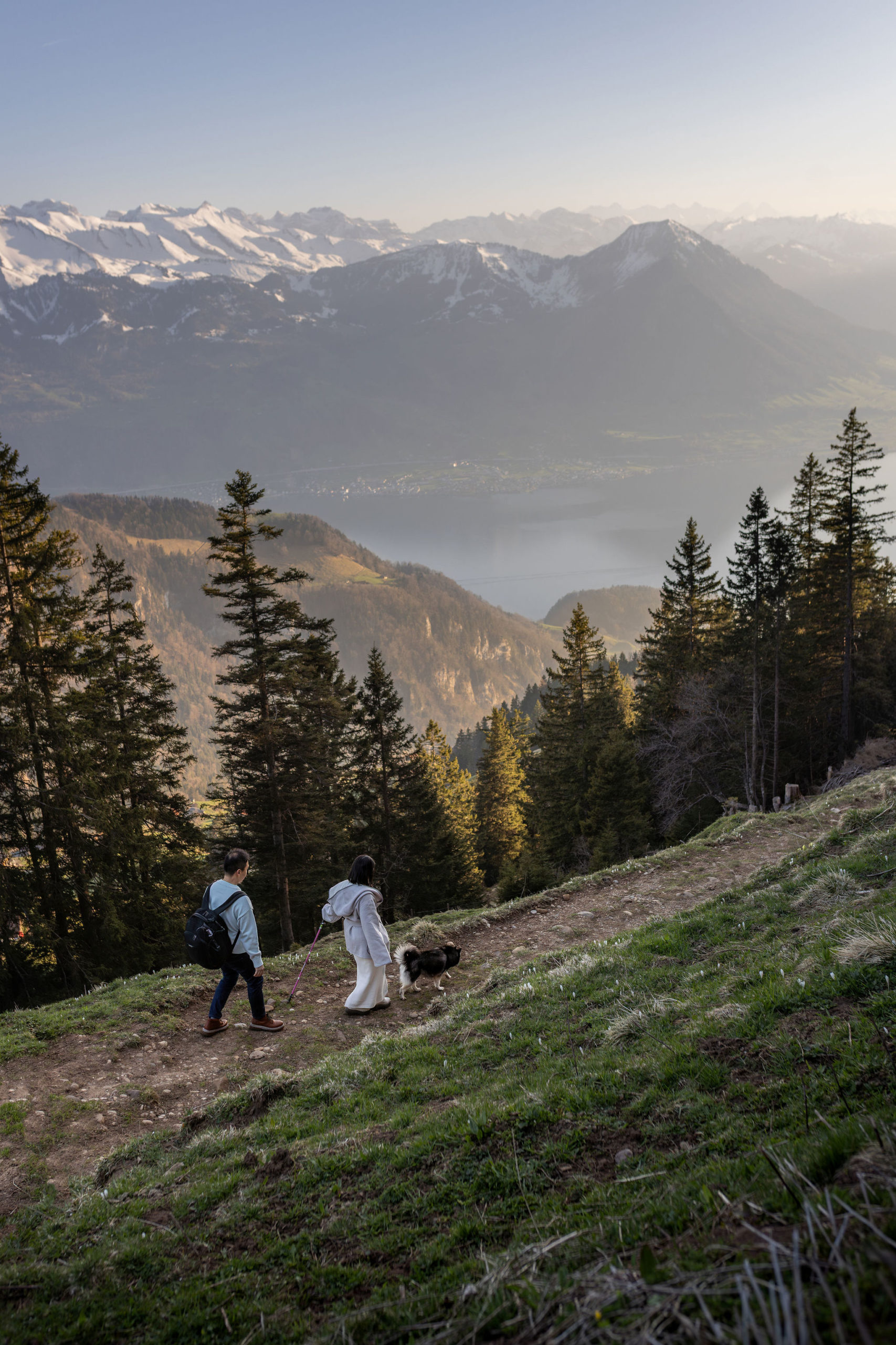 Evening hike on a ponorama trail on Mt. Rigi in the Swiss Alps with a dog. The view over lake lucerne is stunning and the last light hits the surrounding mountains